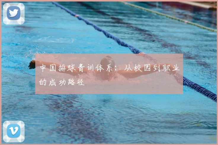 中国排球青训体系：从校园到职业的成功路径