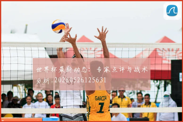 世界杯最新动态：专家点评与战术分析_20260526125631